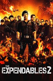 The Expendables 2 (2012) Hindi Dubbed