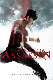 Legendary Assassin (2008) Hindi Dubbed