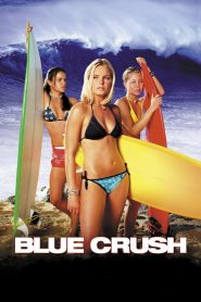 Blue Crush (2002) Hindi Dubbed Movie Watch Online HD Print