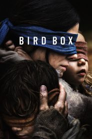 Bird Box (2018) Hindi Dubbed