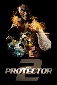 The Protector 2 (2013) Hindi Dubbed