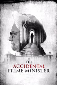 The Accidental Prime Minister (2019) Hindi