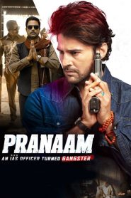 Pranaam (2019) Hindi