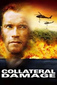 Collateral Damage (2002) Hindi Dubbed