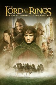 The Lord of the Rings The Fellowship of the Ring (2001) Hindi Dubbed