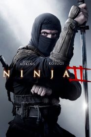Ninja Shadow of a Tear (2013) Hindi Dubbed