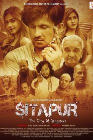 Sitapur The City of Gangsters 2021 Hindi