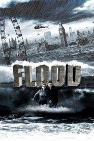 Flood (2007) Hindi Dubbed