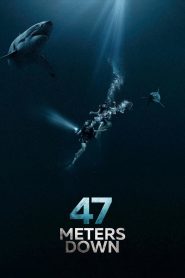 7 Meters Down (2017) Hindi Dubbed