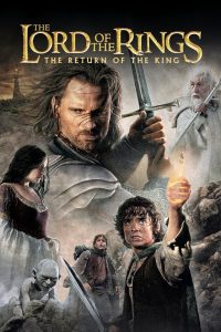 The Lord of the Rings The Return of the King Hindi Dubbed