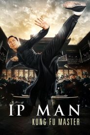 Ip Man Kung Fu Master 2019 Hindi Dubbed
