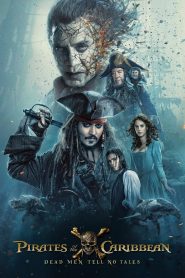 Pirates of the Caribbean Dead Men Tell No Tales (2017) Hindi Dubbed