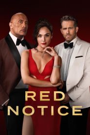 Red Notice 2021 Hindi Dubbed Movie