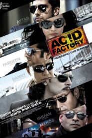 Acid Factory (2009) Hindi