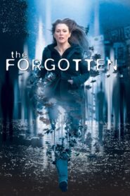 The Forgotten (2004) Hindi Dubbed