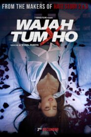 Wajah Tum Ho (2016) Hindi