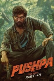 Pushpa The Rise Part 1 2021 South ORG Hindi Dubbed