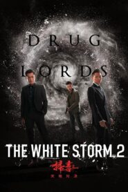 The White Storm 2: Drug Lords 2019 Hindi Dubbed
