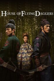 House of Flying Daggers (2004) Hindi Dubbed