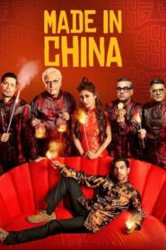 Made In China (2019) Hindi