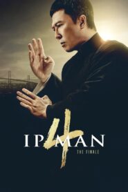 Ip Man 4 The Finale (2019) Hindi Dubbed