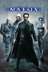 The Matrix (1999) Hindi Dubbed