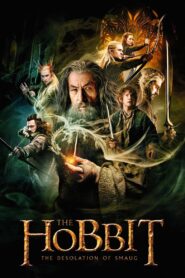 The Hobbit The Desolation of Smaug (2013) Hindi Dubbed
