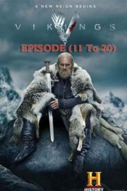 Vikings (2016) Hindi Dubbed Season 4 [EP 11-20]