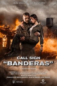Call Sign Banderas 2018 Hindi Dubbed