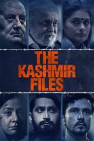 The Kashmir Files 2022 Hindi