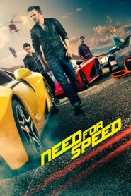 NEED FOR SPEED (2014) HINDI DUBBED