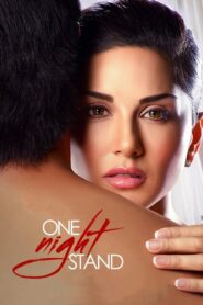 One Night Stand (2016) Hindi