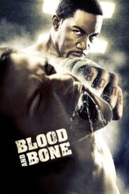 BLOOD AND BONE (2009) HINDI DUBBED