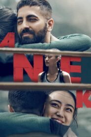 Anek 2022 Hindi Movie