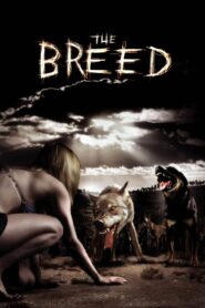 The Breed (2006) Hindi Dubbed