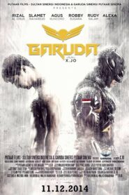 GARUDA SUPERHERO (2015) HINDI DUBBED
