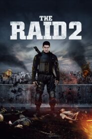 THE RAID 2 (2014) HINDI DUBBED