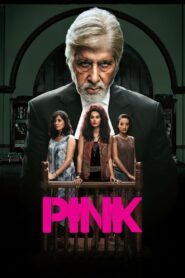 PINK (2016) Hindi