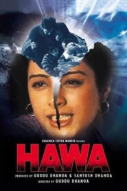 Hawa (2003) Hindi