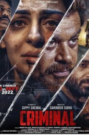 The Criminal (2022) Punjabi (PreDVD)