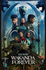 Black Panther Wakanda Forever (2022) Hindi Dubbed PDVDRip