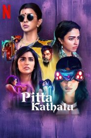 Pitta Kathalu (2021) Season 1 Hindi Dubbed
