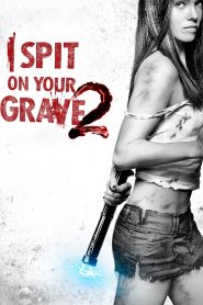 Spit on Your Grave 2 (2013) Hindi Dual Audio