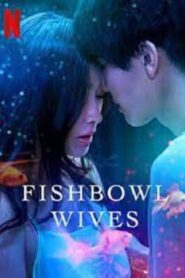Fishbowl Wives (2022) Season 1 Hindi Dubbed (Netflix)