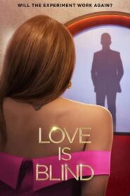 Love is Blind (2022) Hindi Dubbed Season 3