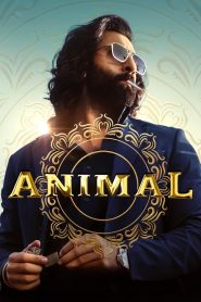 Animal (2023) Hindi