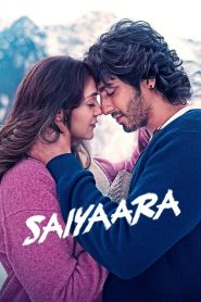 Saiyaara (2025) Hindi